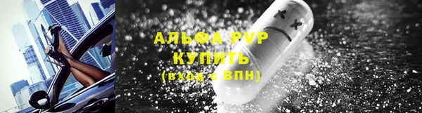 молекула духа Нягань